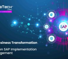SAP Implementation & Management