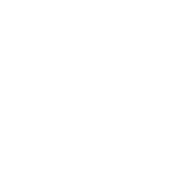 Training and Fine-Tuning AI Model