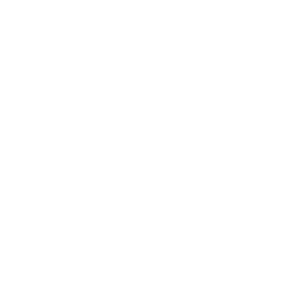 Boost Security