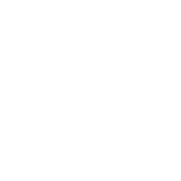 Customizing AI Output